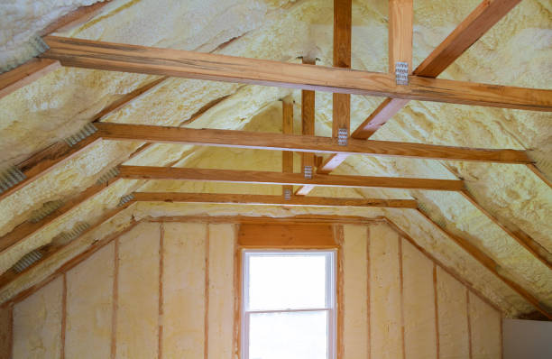 Professional Insulation Contractor in Viera East, FL